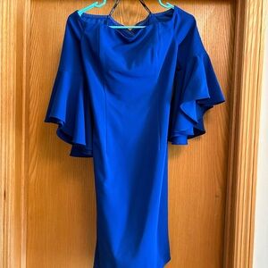 Calvin Klein Royal Blue Long Sleeve Dress